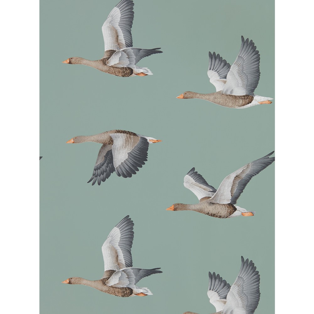 Elysian Geese Wallpaper 216610 by Sanderson in Blue Clay Grey